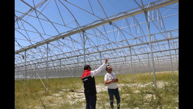 Erzincan'da jeotermal sera yatırımları devam ediyor