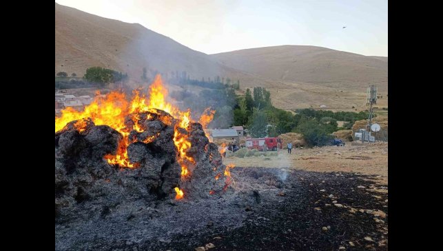Gevaş'ta ot yangını