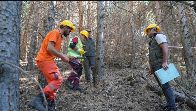 Palandöken'de yangına karşı seferberlik