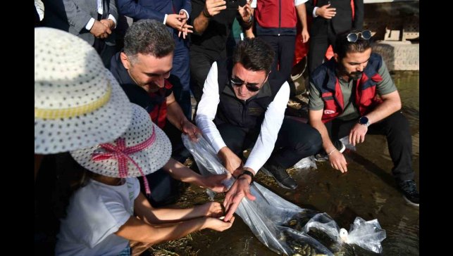 Tunceli'de 850 bin adet balık suyla buluşturuldu