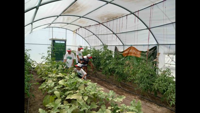 Önce öğrenip üretiyorlar, sonra yiyorlar