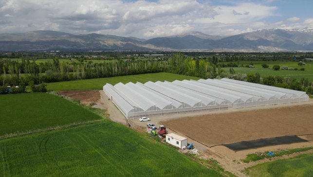 Erzincan'da üretim yapılamayan yıpranmış seralara naylon örtü desteği sağlanacak