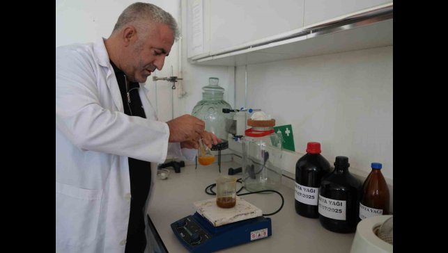 Iğdır Üniversitesi'nde üretildi: Cilt kanserine neden olan lekelerde bile etkili