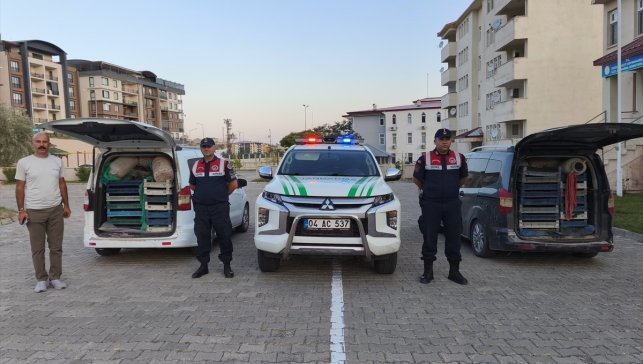 Ağrı'da ele geçirilen 240 kilogram kurbağa doğaya bırakıldı