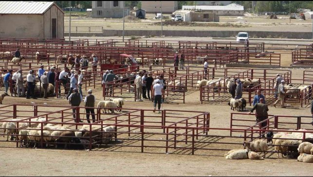 Van Hayvan Pazarı yeniden hizmete başladı