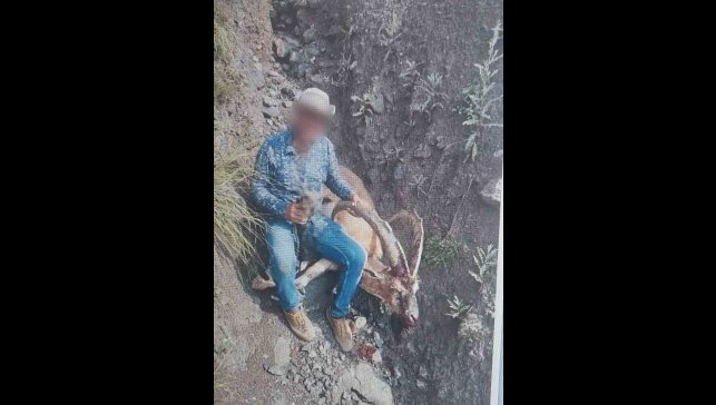 Kars'ta 1 kişi yaban keçisi avladı: 650 bin lira ceza ödedi