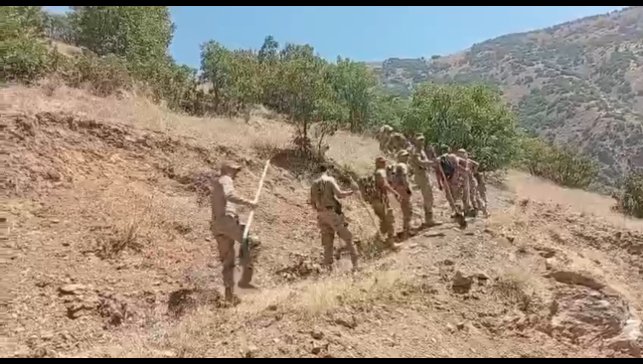 Hakkari'deki orman yangınlarında askerler ve köylüler seferber oldu