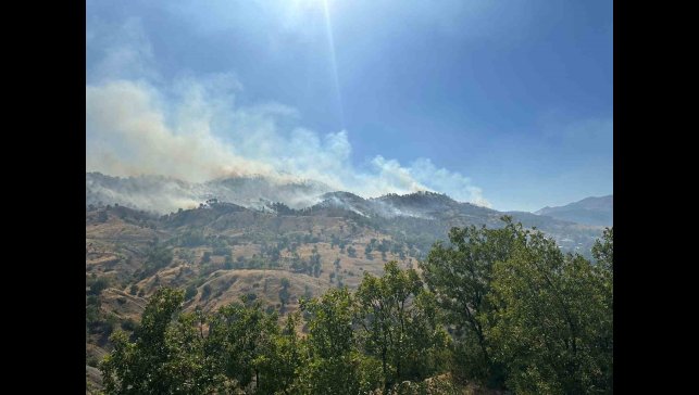 Bingöl'deki orman yangını kontrol altına alındı
