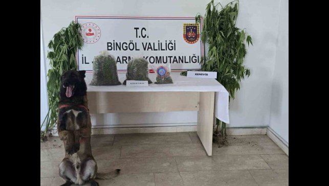 Bingöl'de uyuşturucuyla mücadele