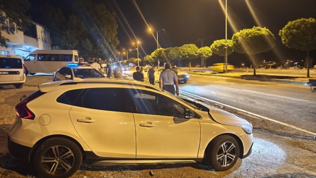 Bingöl'de otomobilin çarptığı inek telef oldu