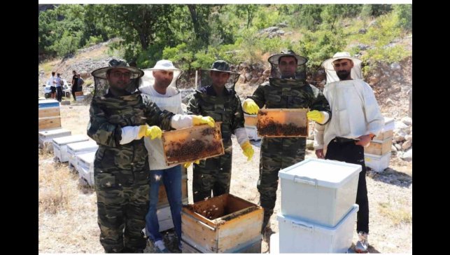 Kemah'ta arıcıların bal hasadı