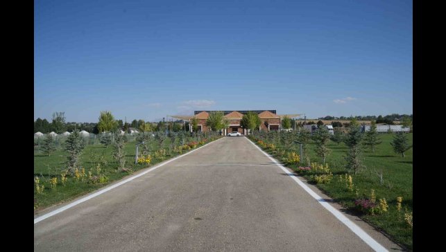 Malazgirt'te 1071 çiçek dikildi