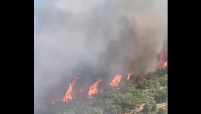 Malatya'da orman yangını