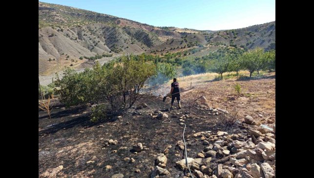Hekimhan'da ormanlık alanda çıkan yangın söndürüldü