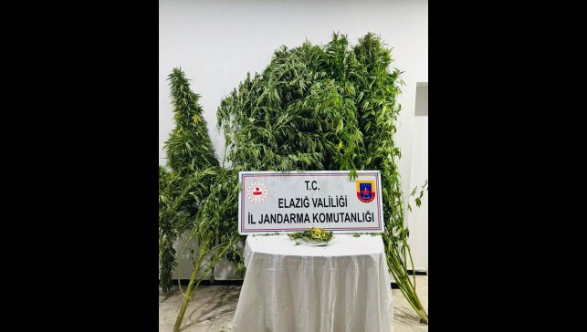 Elazığ'da uyuşturucuyla mücadele