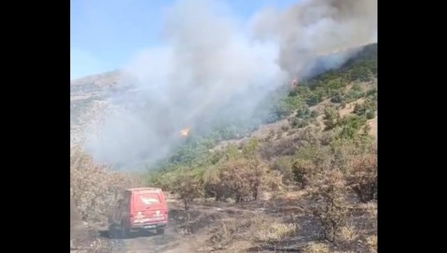 Malatya'daki orman yangını söndürüldü