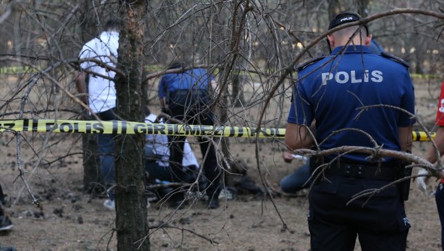 Erzurum'da ormanlık alanda erkek cesedi bulundu