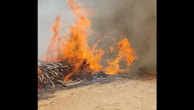 Malatya'nın Doğanyol ilçesinde orman yangını