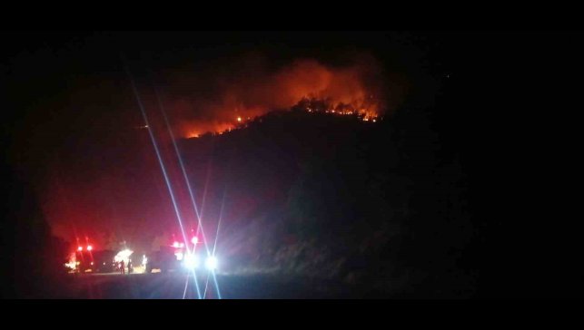 Malatya'daki orman yangını sürüyor