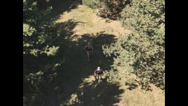 Ardahan'da jandarma ekipleri ormanlık alanlarda denetimlerini sıklaştırdı
