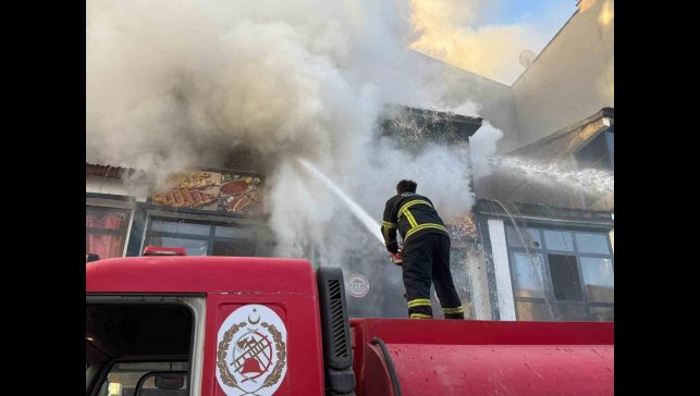 Tatvan'da yangın korkuttu