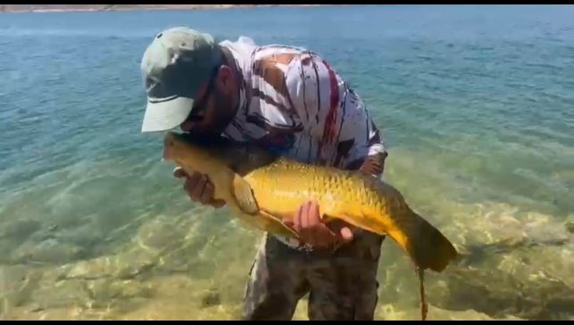 Yakaladığı 15 kiloluk sazanı tekrar suya bıraktı