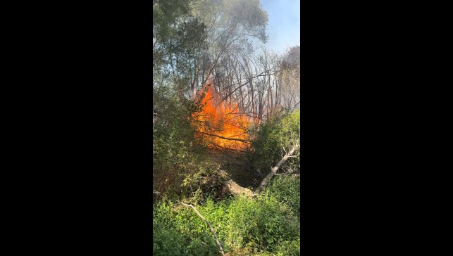 Elazığ'da otluk alanda yangın