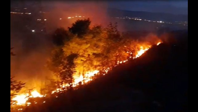 Ardahan'da anız ve fidanlık yangını geceyi aydınlattı