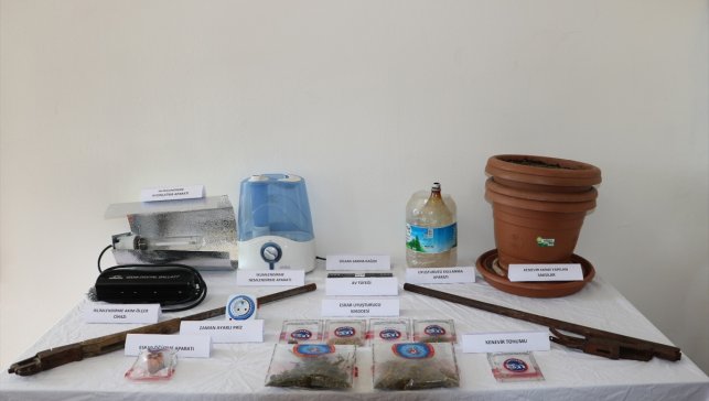 Tunceli'de evinde kenevir yetiştiren şüpheli yakalandı