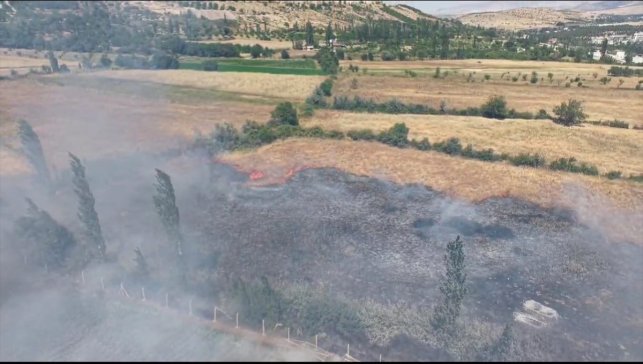 Doğanşehir'de çıkan arazi yangını söndürüldü