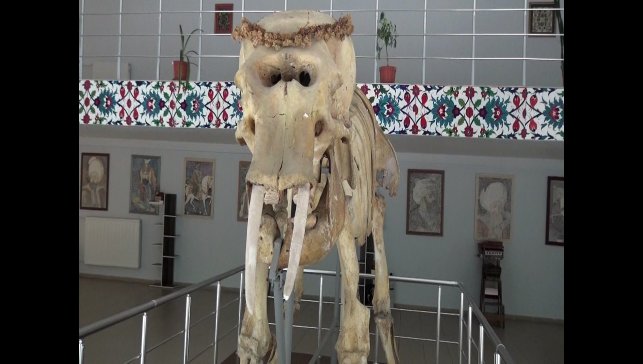 Kemaliye'deki müzede bulunan objeler arşivlendi