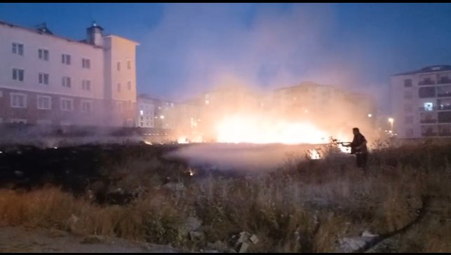 Kars'ta anız yangını korkuttu