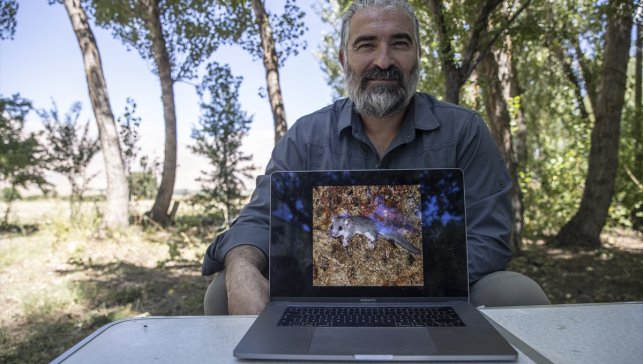 Munzur Dağları'nda yeni yediuyur türü tespit edildi