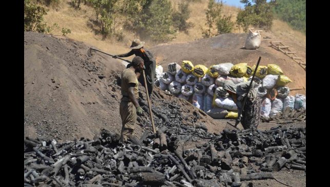 Muş'ta mevsimlik işçilerin zorlu mangal kömürü mesaisi