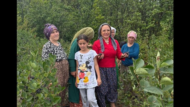 Aronya Akçaabat'tan dünyaya açılıyor