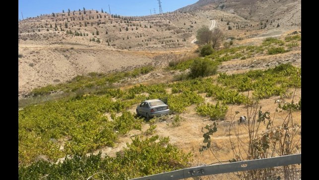 Malatya'da kontrolden çıkan araç üzüm bağına uçtu: 2 yaralı