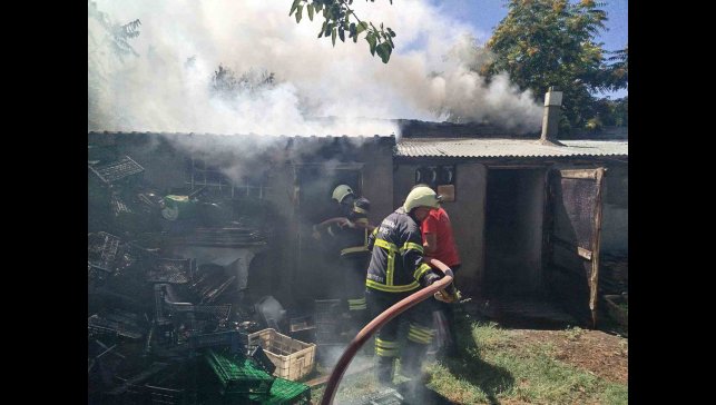 Erzincan'da odunlukta çıkan yangın itfaiyenin müdahalesiyle söndürüldü