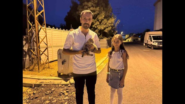 Yüksekova'da baba-kız yaralı kediyi hayata döndürdü