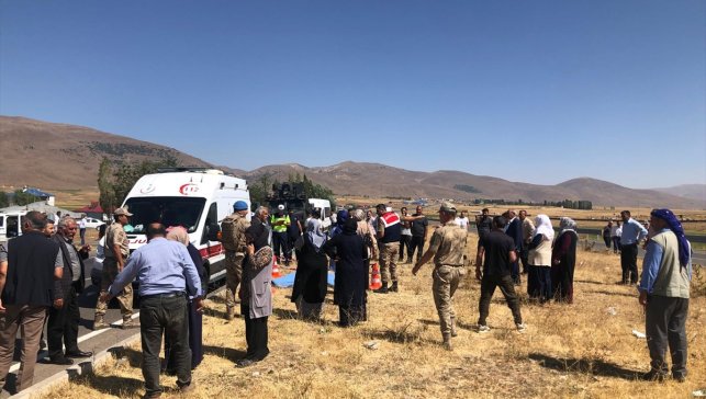 Bingöl'de otomobilin çarptığı yaya öldü