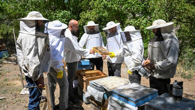 Karakovan bal üreticileri hasada yüksek verimle başladı