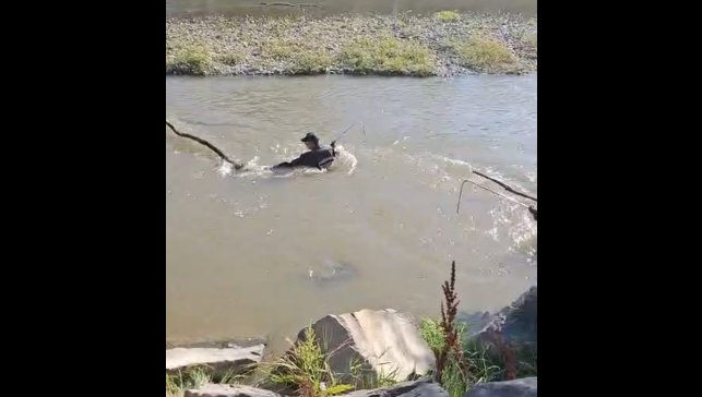 Karasu nehrine kapılan yolcuyu arama çalışmalarına devam ediliyor