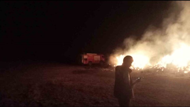 Erzurum'oa ot yangını