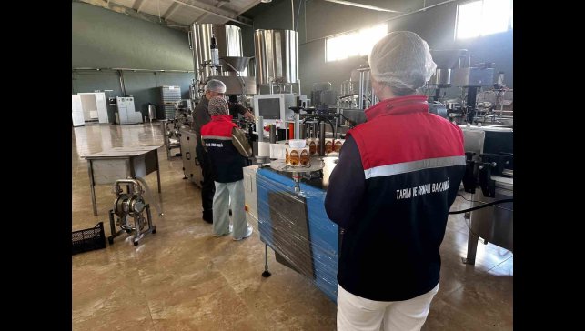 Gıda satışı yapan 254 işyeri denetlendi