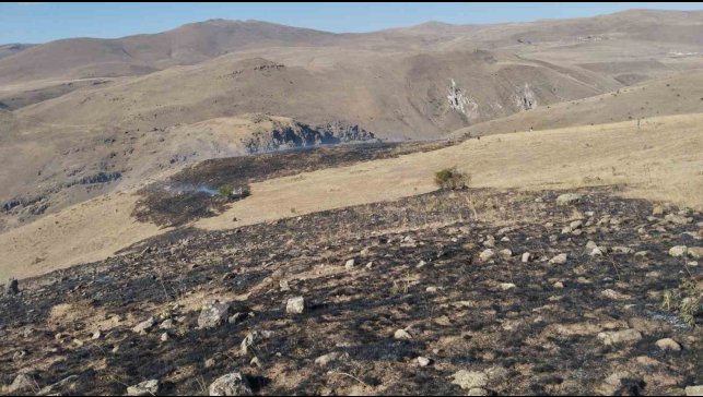 Erzurum'da korkutan ot yangını