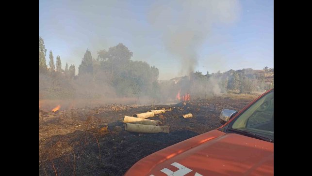 Malatya'da bahçe yangını