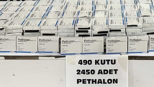 Gürbulak Sınır Kapısı'nda 2 Bin 450 Sentetik Ecza Hap Ele Geçirildi