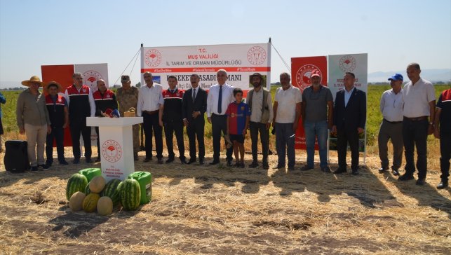Muş'ta hasadına başlanan karpuzdan yaklaşık 2 milyar liralık gelir bekleniyor
