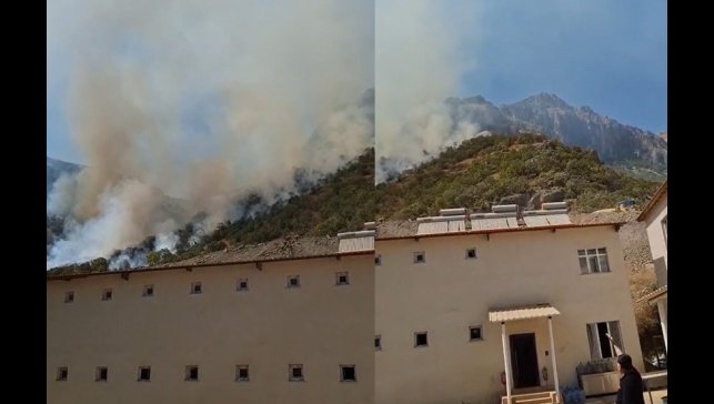 Hakkari-Çukurca kara yolundaki makilik alanda yangın çıktı