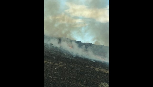 Kars'ta askeri tatbikat alanında çıkan anız yangını söndürüldü