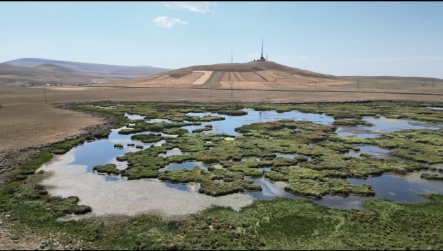 Kars'ta kuraklığın vurduğu Çalı Gölü'nü kuşlar terk etti